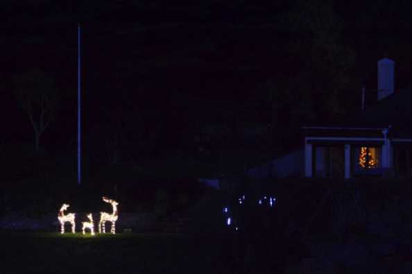 08 December 2020 - 16-53-53

-----------------------------
Kingswear reindeer herd Xmas lights